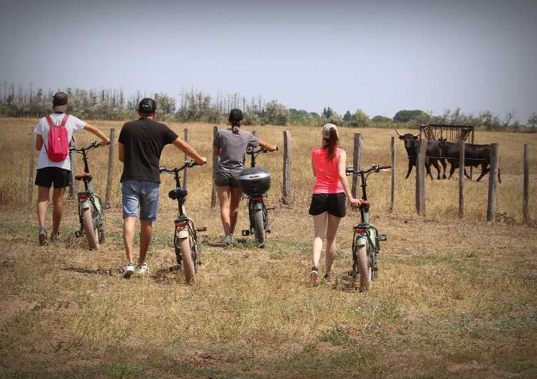 Aigues Mortes: safari en vélo - Ebike tour in Camargue - Key things to know before you go