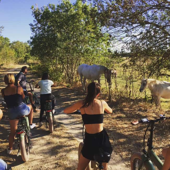 Aigues Mortes: safari en vélo - Ebike tour in Camargue - Entering Aigues-Mortes and Getting Set for Camargue Wildlife