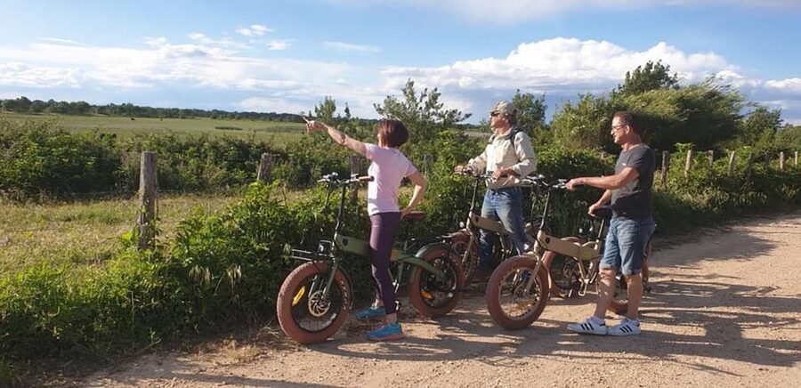 Aigues Mortes: safari en vélo - Ebike tour in Camargue - Price and Value: Is $64 a Good Deal for a Camargue E-Bike Safari?