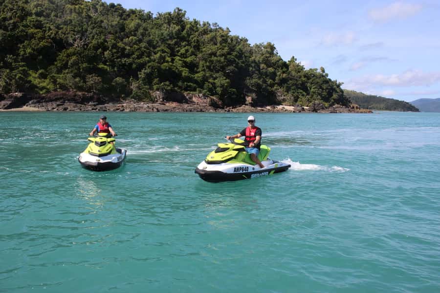 Airlie Beach: Jet Ski Safari Hour of Power and Marine Life - Wildlife Viewing on a Jet Ski: How Close Can You Get