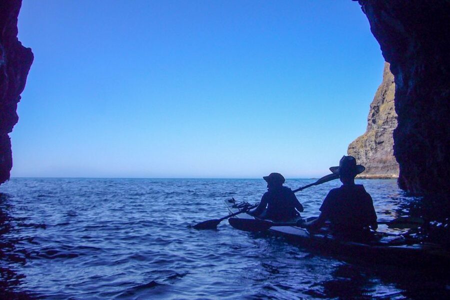 Akaroa: 4WD Safari and Guided Sea-Kayaking Experience - Should you book this Akaroa 4WD safari and sea-kayaking day?