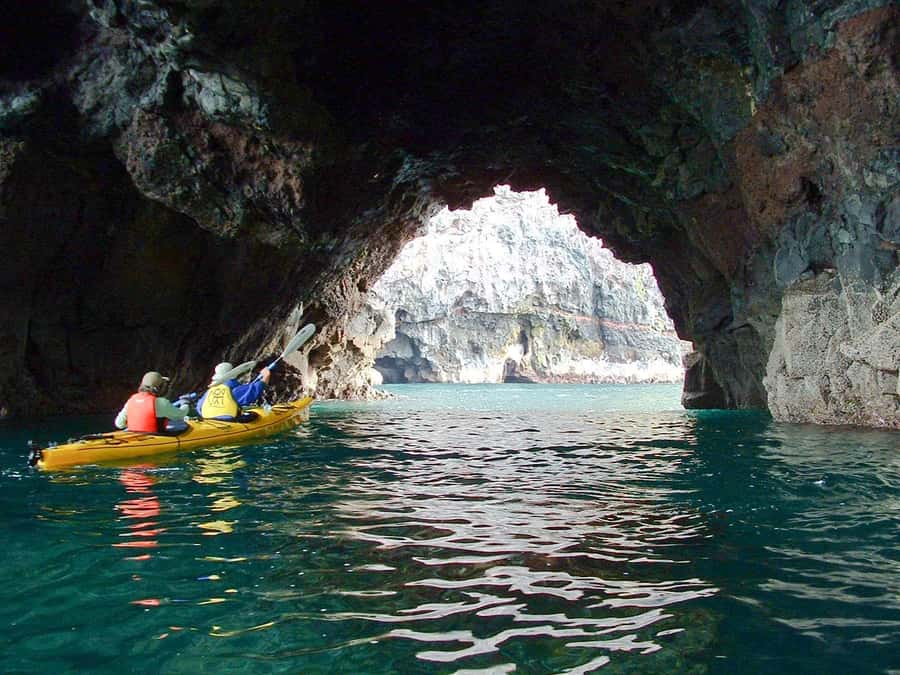 Akaroa: 4WD Safari and Guided Sea-Kayaking Experience - What’s included, and what you’ll need to bring