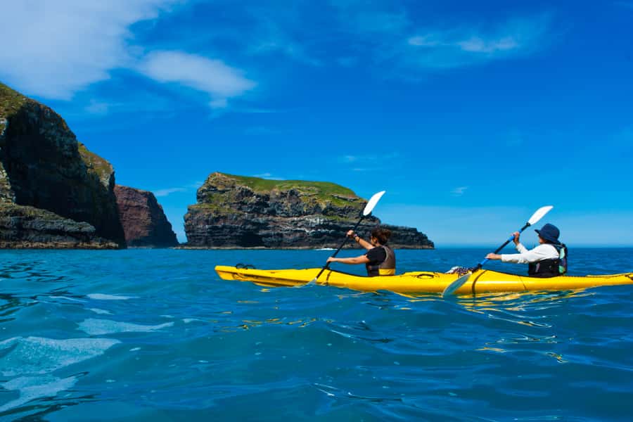 Akaroa: 4WD Safari and Guided Sea-Kayaking Experience - Price and value: what $80 really covers