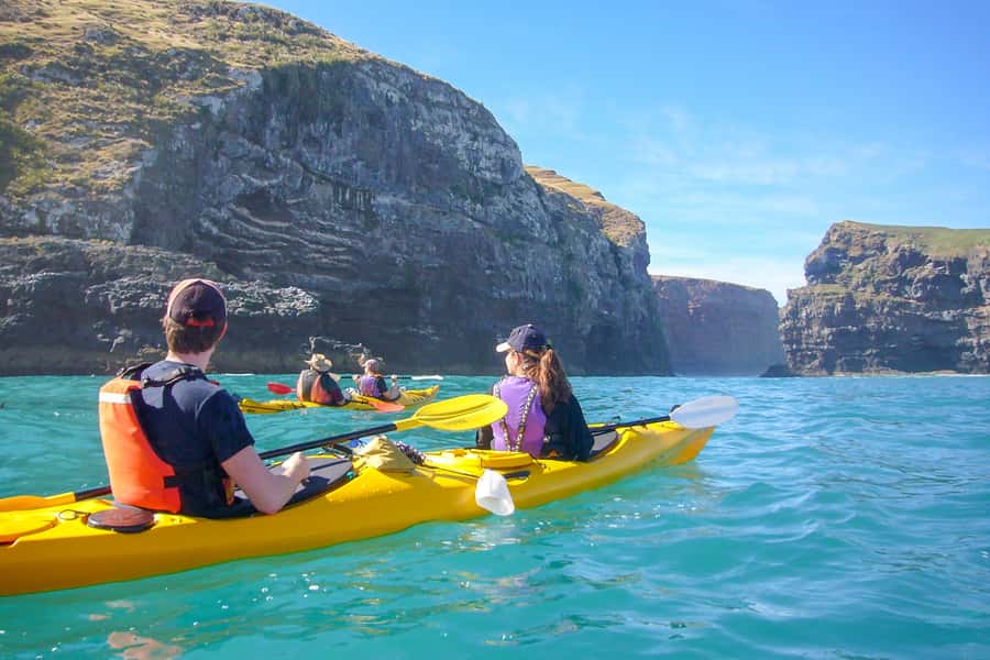 Akaroa: 4WD Safari and Guided Sea-Kayaking Experience - Kayaking at Pohatu: what the experience feels like in practice