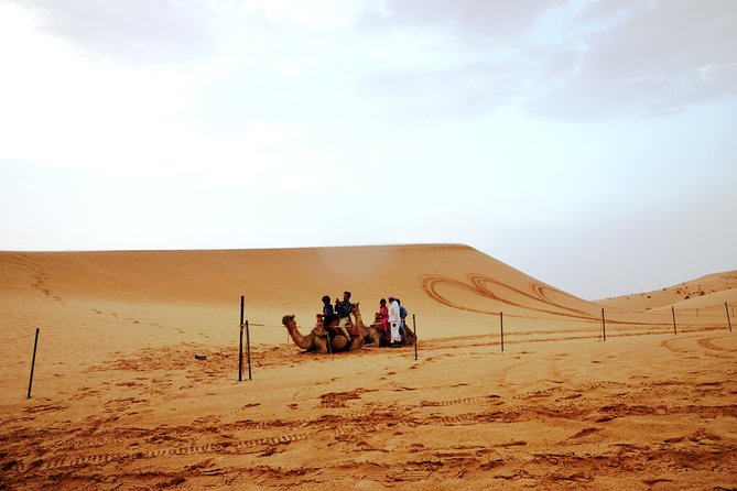 Al Ain Desert Safari with Buffet Dinner - Falcon photo time and the camp shift: sunset to Bedouin-style dinner
