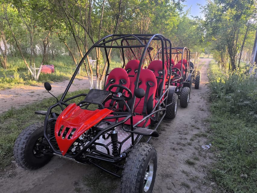Alanya Buggy Safari: Thrill by River & Muddy Forest - Family buggy option: the up-to-4 setup and the rules that matter