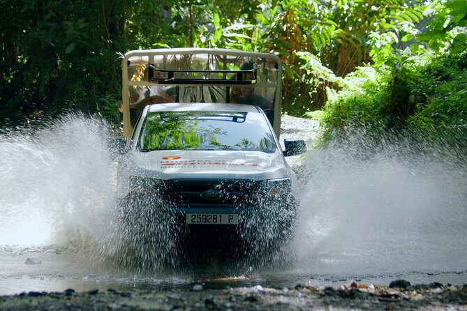ALBERT TOURS: Excursion 4x4 safari with private SWING view point - Quick hits before you go
