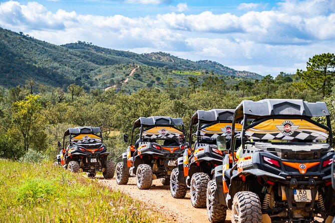 Albufeira: 1.5h Off-Road Buggy Tour - Dirt & Scenic Trails - What You’ll Really Drive Through: Hills, Forest Tracks, and Slower Bits Near Homes
