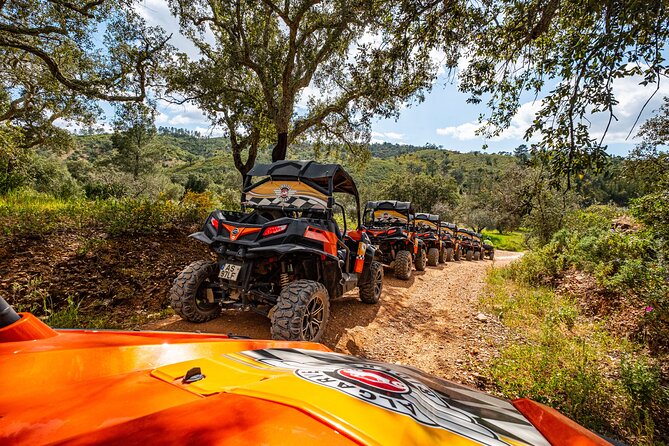Albufeira: 1.5h Off-Road Buggy Tour - Dirt & Scenic Trails - English-Ready Experience With a Small Group Feel