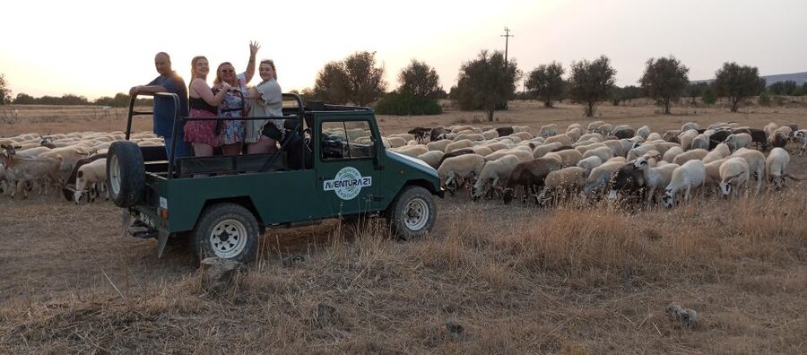 Albufeira: Jeep Safari Half-Day Countryside Tour - Key Highlights at a Glance