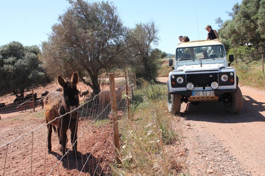 Albufeira: Jeep Safari Half-Day Countryside Tour - Alte: Pretty Town Time, Photos, and a Chance to Swim