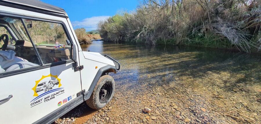 Albufeira: Safari Excursion in the Algarve Mountains - Timing, Comfort, and Who This Safari Fits Best