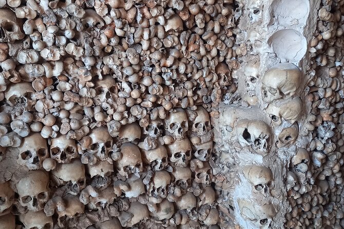 Albufeira Safari w/ Krazy World Visit, Bones & Animals - The Included Stuff That Actually Saves You Effort