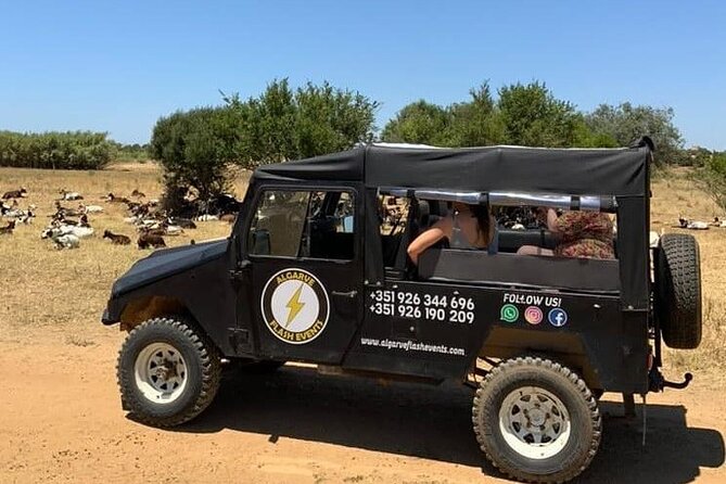 Albufeira Safari w/ Krazy World Visit, Bones & Animals - Getting There: Pickup, Small Group, and How 4½ Hours Fits
