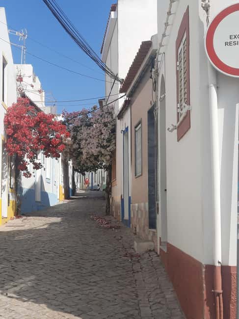 Algarve: 4x4 Safari Tour - from Coastal Wonders to Rural Treasures - Harvad winery and the Phoenician connection