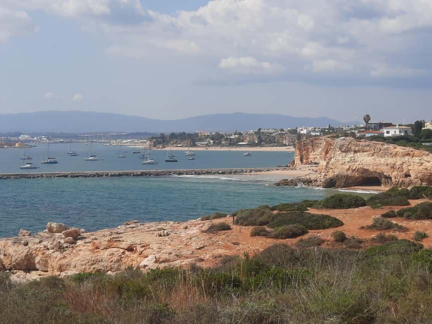 Algarve: 4x4 Safari Tour - from Coastal Wonders to Rural Treasures - Orange groves: what you see is the brand