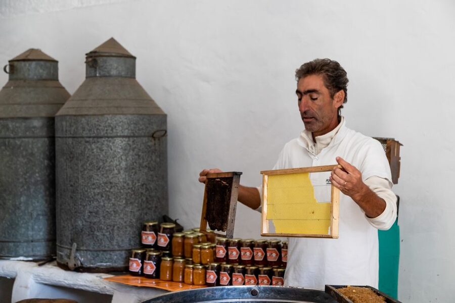 Algarve: Jeep Safari with Distillery Visit & Lunch - Who Should Skip It (And Who Will Love It)