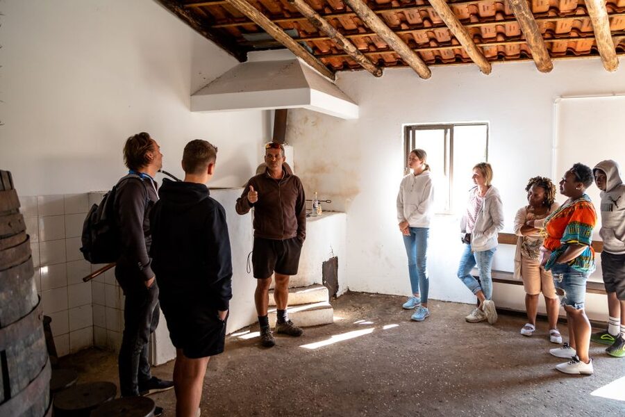 Algarve: Jeep Safari with Distillery Visit & Lunch - The Distillery Moment: Medronho Tasting (And Why It’s a Real Cultural Signal)