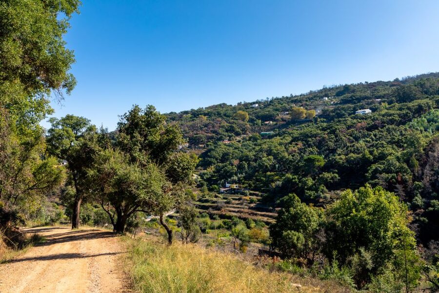 Algarve: Jeep Safari with Distillery Visit & Lunch - Price and Value: Does $84 Per Person Make Sense?