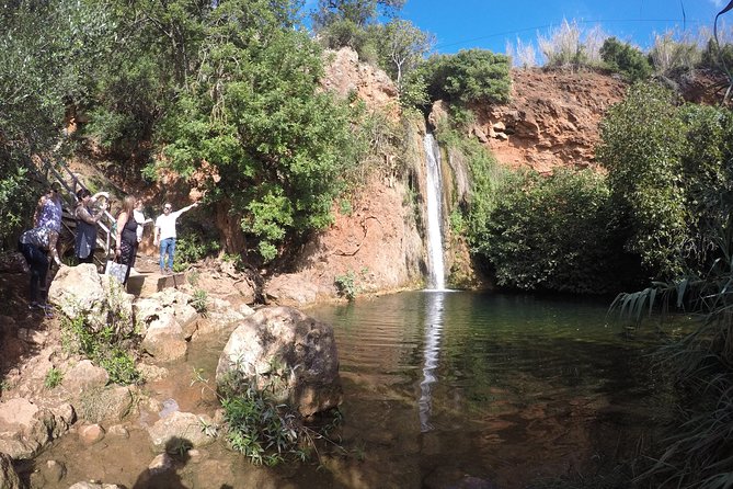 Algarve Safari - Full Day Tour from Albufeira w / lunch - Meeting in Albufeira and Why the Day Feels Organized