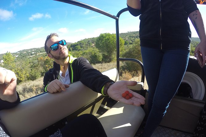Algarve Safari - Full Day Tour from Albufeira w / lunch - Lunch in the Algarve: Where the Tour Really Wins Hearts