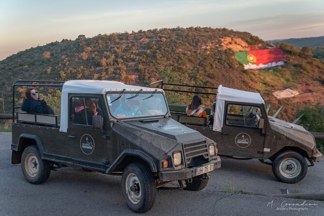 Algarve Safari - Half Day from Albufeira - Small-Group Energy: Guides, Language, and the Ride Style