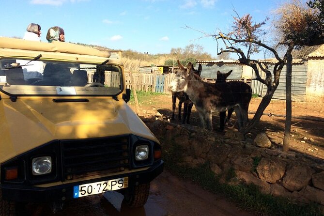Algarve Sunset Experience - Half Day Jeep Safari Trip - Fountains of Alte: Photo Time and Possible Summer Swimming