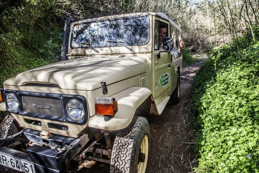 Algarve: Sunset Jeep Safari Tour - Why this Algarve sunset jeep safari feels like real countryside time