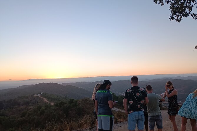 Algarve Sunset Safari Tour from Albufeira - Who This Safari Fits Best (and Who Might Want Another Option)