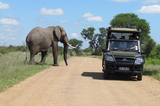 All Inclusive 2 Day Kruger Safari from Johannesburg - Lodge sleep and meals: “all-inclusive” can mean different comfort levels
