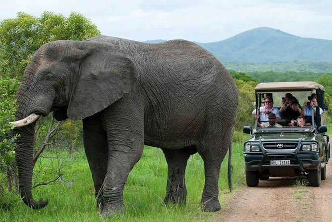 All Inclusive 3 Day Kruger Safari Adventure From Johannesburg - Who Should Book, and Who Might Want Another Option