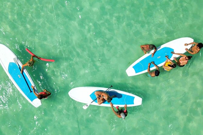 All-Inclusive Sandbar Safari with Dolphin Playground Encounter - Price and value: is $149.95 really a bargain?