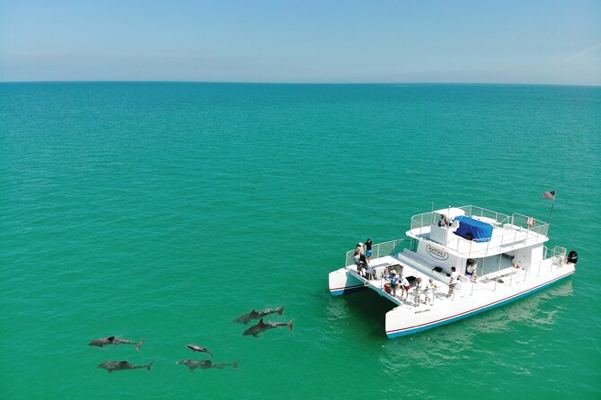 All-Inclusive Sandbar Safari with Dolphin Playground Encounter - Who this sandbar safari fits best