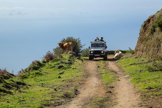 Amazing West - Jeep Safari Tour - Full Day - Shared Tour - Quick highlights you can plan around