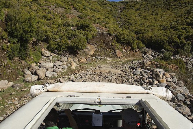 Amazing West - Jeep Safari Tour - Full Day - Shared Tour - Off-road Laurissilva driving: the thrill part you came for