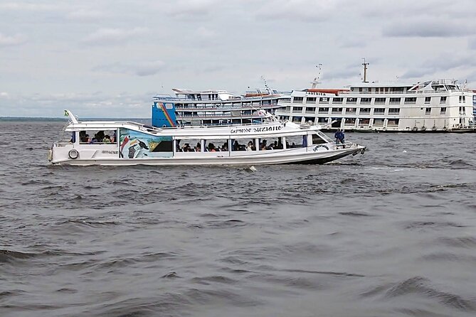 Amazon Safari from Manaus - Stop 2: Catalao Amazonas community and the hook-free pirarucu simulation