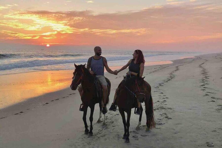 Antalya: Lara Beach & Forrest Horse Riding Safari - Why the forest-to-beach route is the whole point