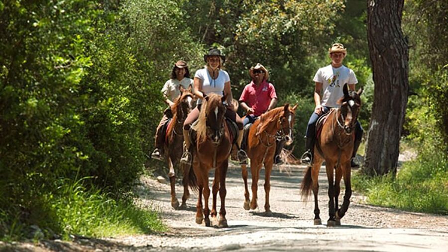 Antalya: Lara Beach & Forrest Horse Riding Safari - Horses and instructors: who you might ride with
