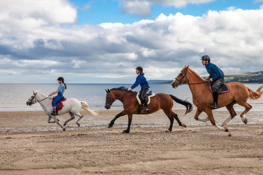 Antalya: Lara Beach & Forrest Horse Riding Safari - Price and value: $58 for a sea-and-tree experience