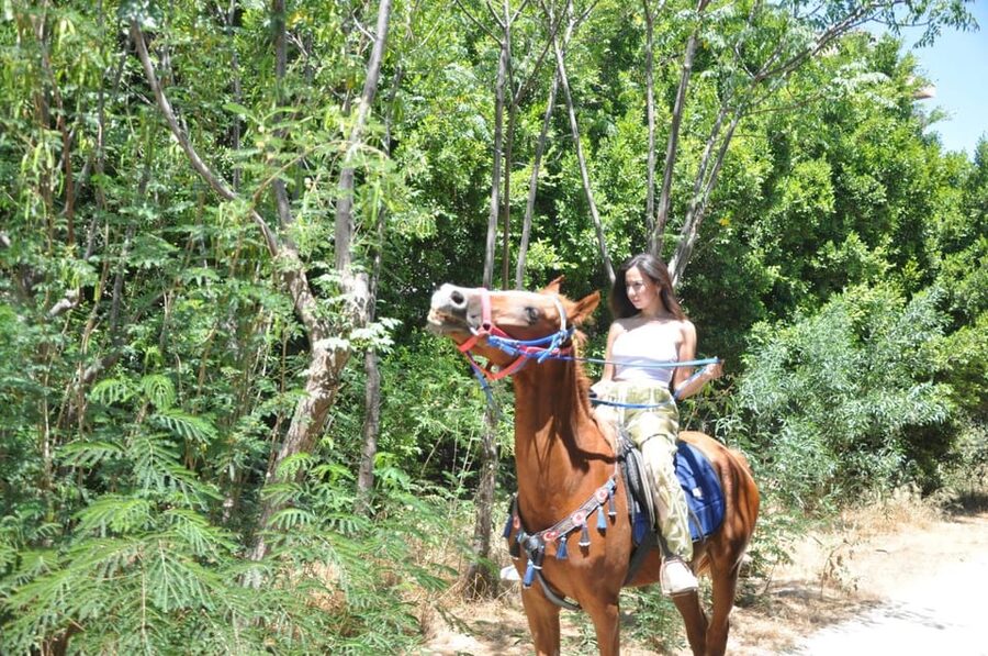 Antalya: Lara Beach & Forrest Horse Riding Safari - Practical planning: what to bring and what to wear