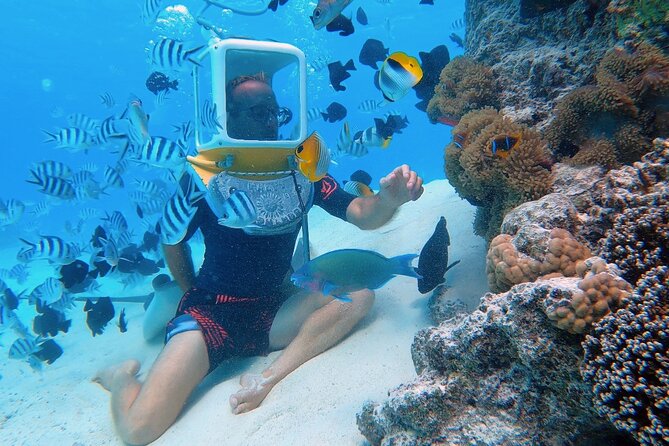 Aqua Safari Introductory Helmet Dive (Underwater Walk) - Key things to know before you go