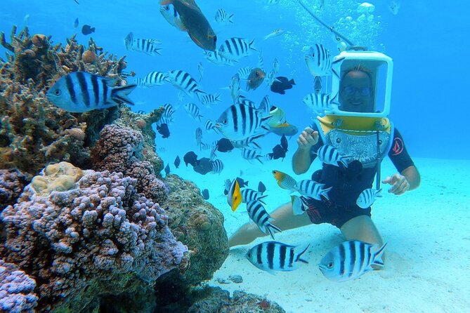 Aqua Safari Introductory Helmet Dive (Underwater Walk) - The “walk the reef” setup: what actually happens