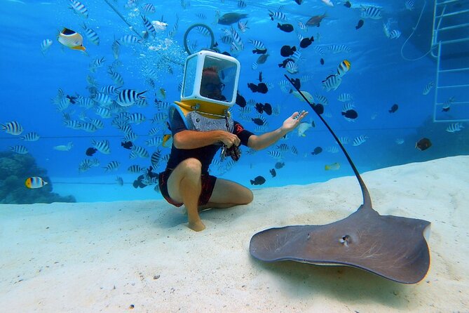 Aqua Safari Introductory Helmet Dive (Underwater Walk) - How the guides keep it safe (and keep you calm)