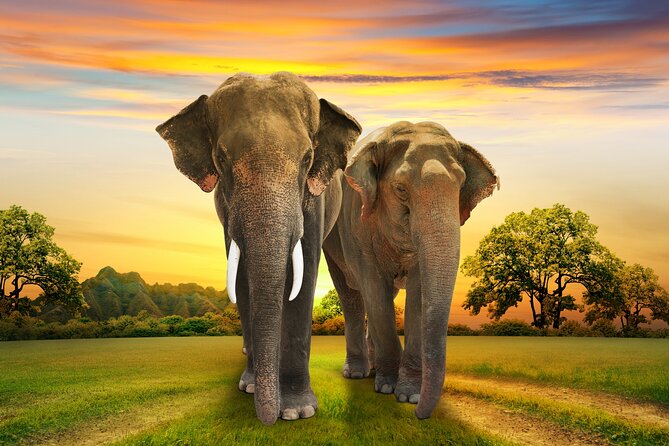 Aquila Game Reserve Safari with Park Fees, Transport & Lunch - Park fees, transport, and $238.11 value check