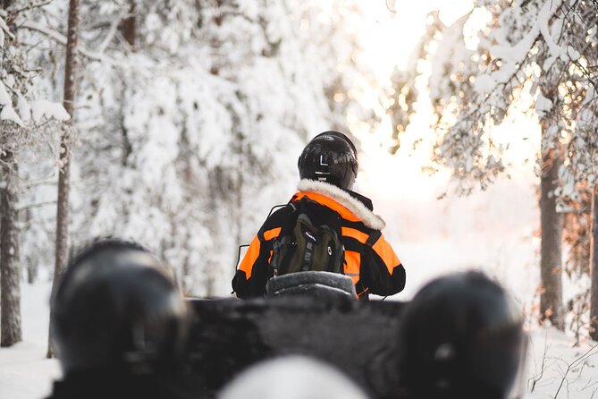 Arctic Circle Snowmobile Safari for Beginners in Rovaniemi - Safety Realities: Licenses, Health Checks, and When to Skip