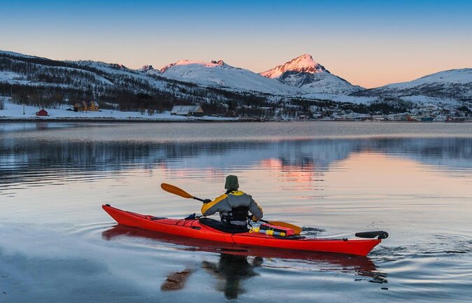 Arctic Fjordcruise & Safari in Tromso with Luxury Catamaran - A Luxury Catamaran Fjord Cruise in Tromsø: What to Expect in 3 Hours