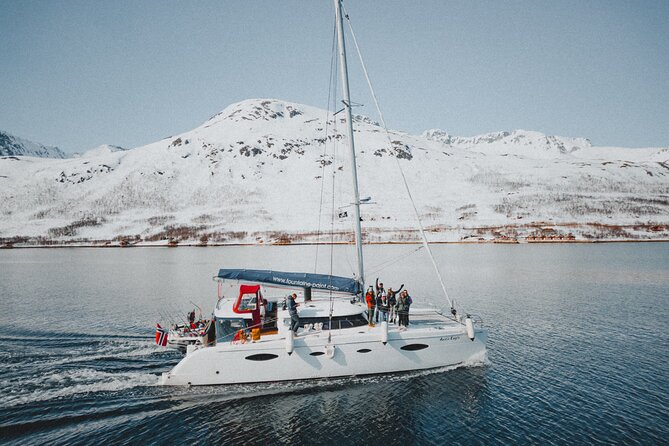 Arctic Fjordcruise & Safari in Tromso with Luxury Catamaran - The Tromsø Fjords Part: Views That Feel Personal, Not Generic