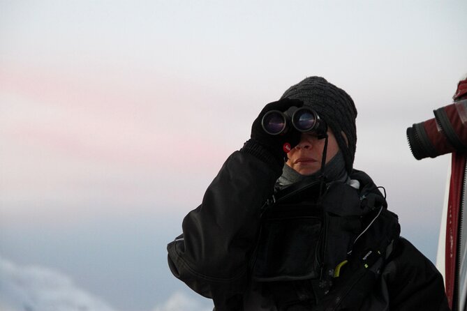 Arctic Fjordcruise & Safari in Tromso with Luxury Catamaran - Group Size, Guide Style, and On-Deck Interaction