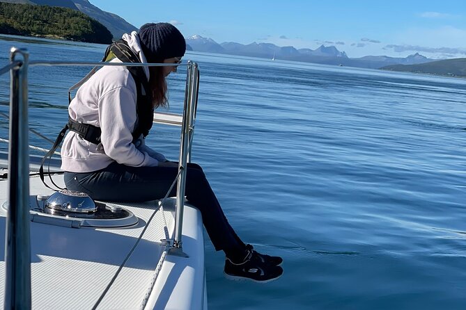 Arctic Fjordcruise & Safari in Tromso with Luxury Catamaran - Route Expectations: When You Might Sail Closer to the Coast
