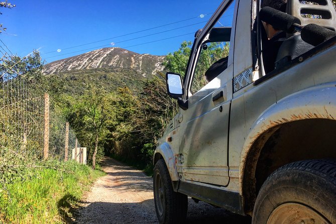 Arrabida Safari – Europe's Most Beautiful Beach & Hidden Gems - Parque Natural da Arrábida: Oaks, Cork Trees, Vineyards, and Sea Air